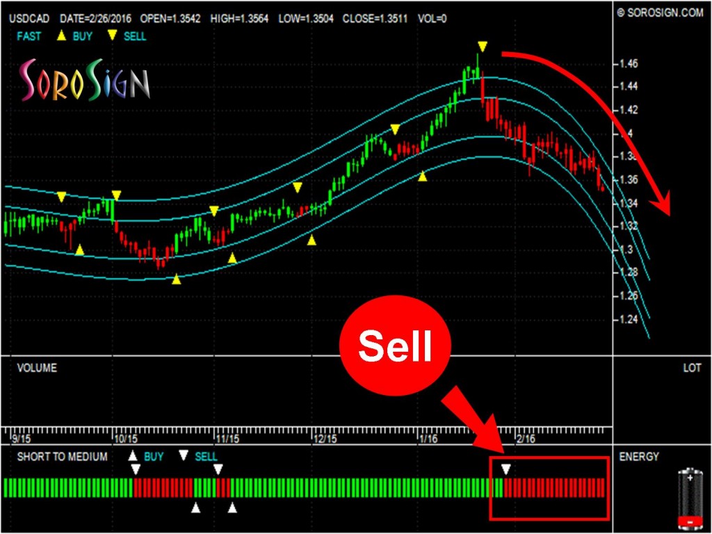 Delve into the World of Forex – Unveiling the Equivalence of 1 Lot in USD/CAD